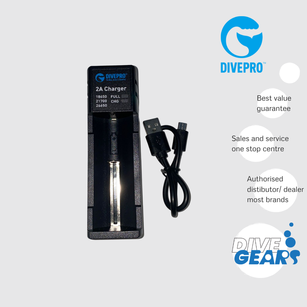 Divepro Charger (26650/21700/26800)